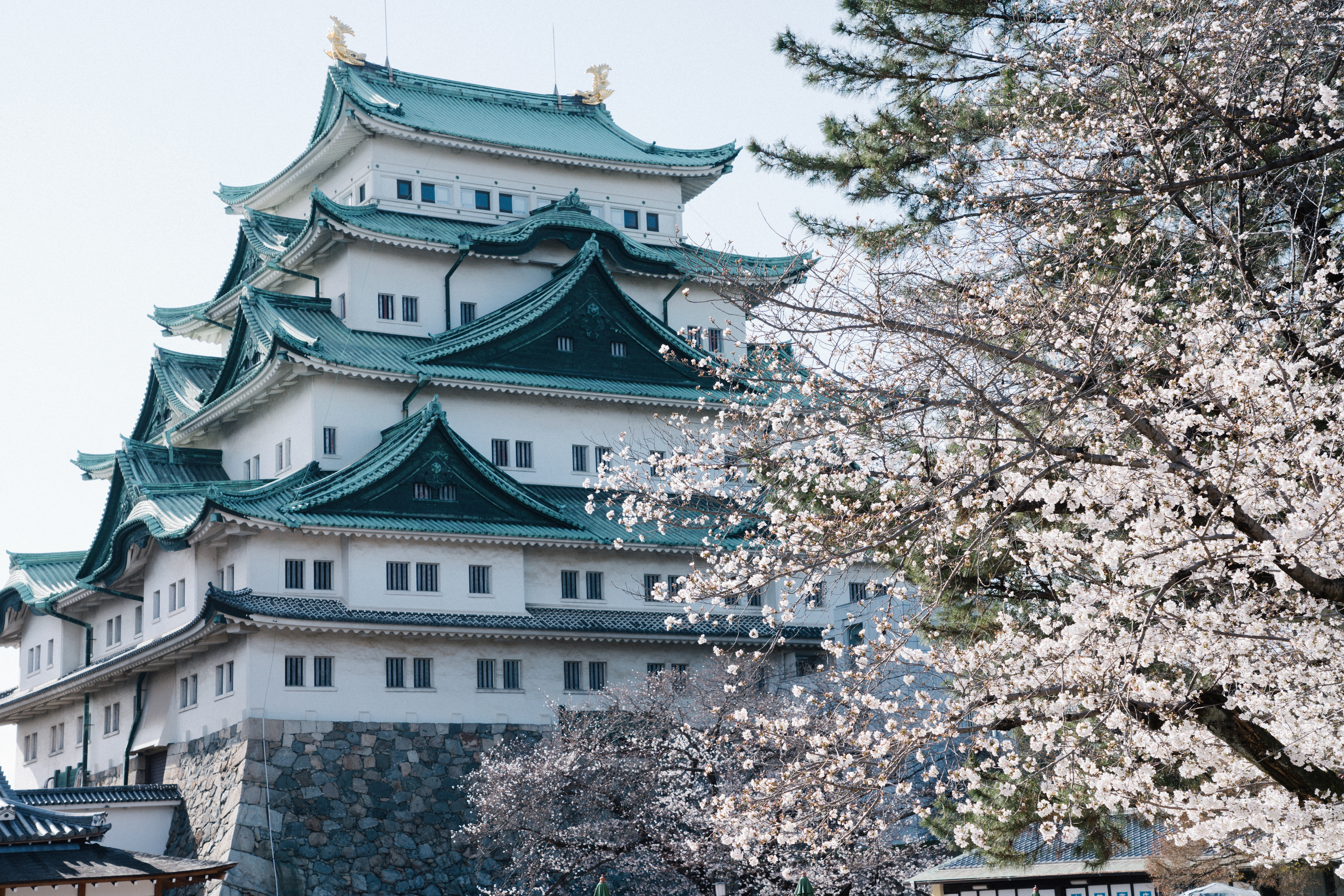 日本名古屋游记
